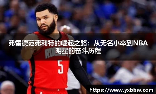葡萄新京官网