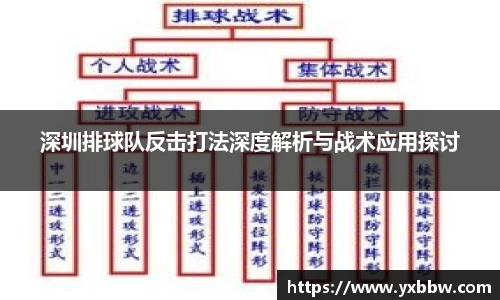 深圳排球队反击打法深度解析与战术应用探讨