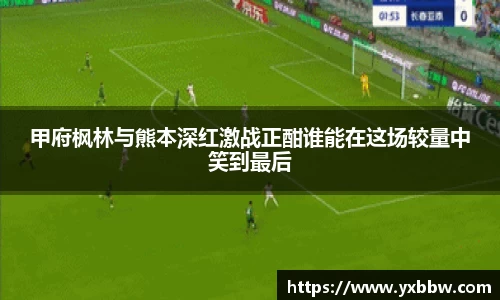 葡萄新京官网